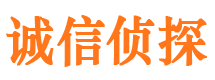 柳河市侦探